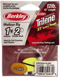 Berkley Walleye Rig