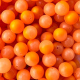 First Drift Fishing Beads