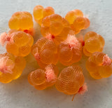 Salmon Egg Spawn Sacks