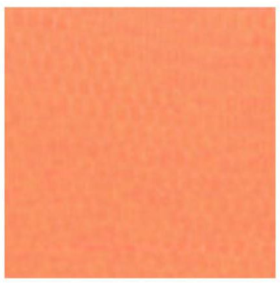 BlackBird Redwing Spawn Mesh Bait Netting - Steelhead Salmon Trout Egg ...