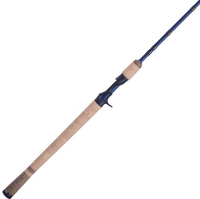 Fenwick Eagle Casting Rod