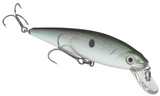 Strike King KVD 200 Jerkbait